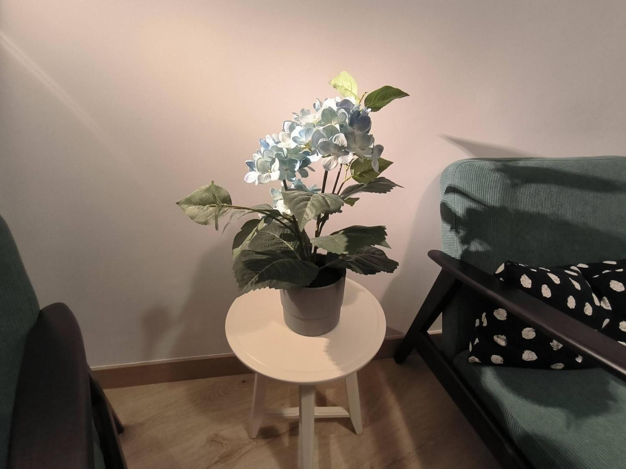 Apartamento Zabala Conoce Bilbao Desde Dentro Bagian luar foto